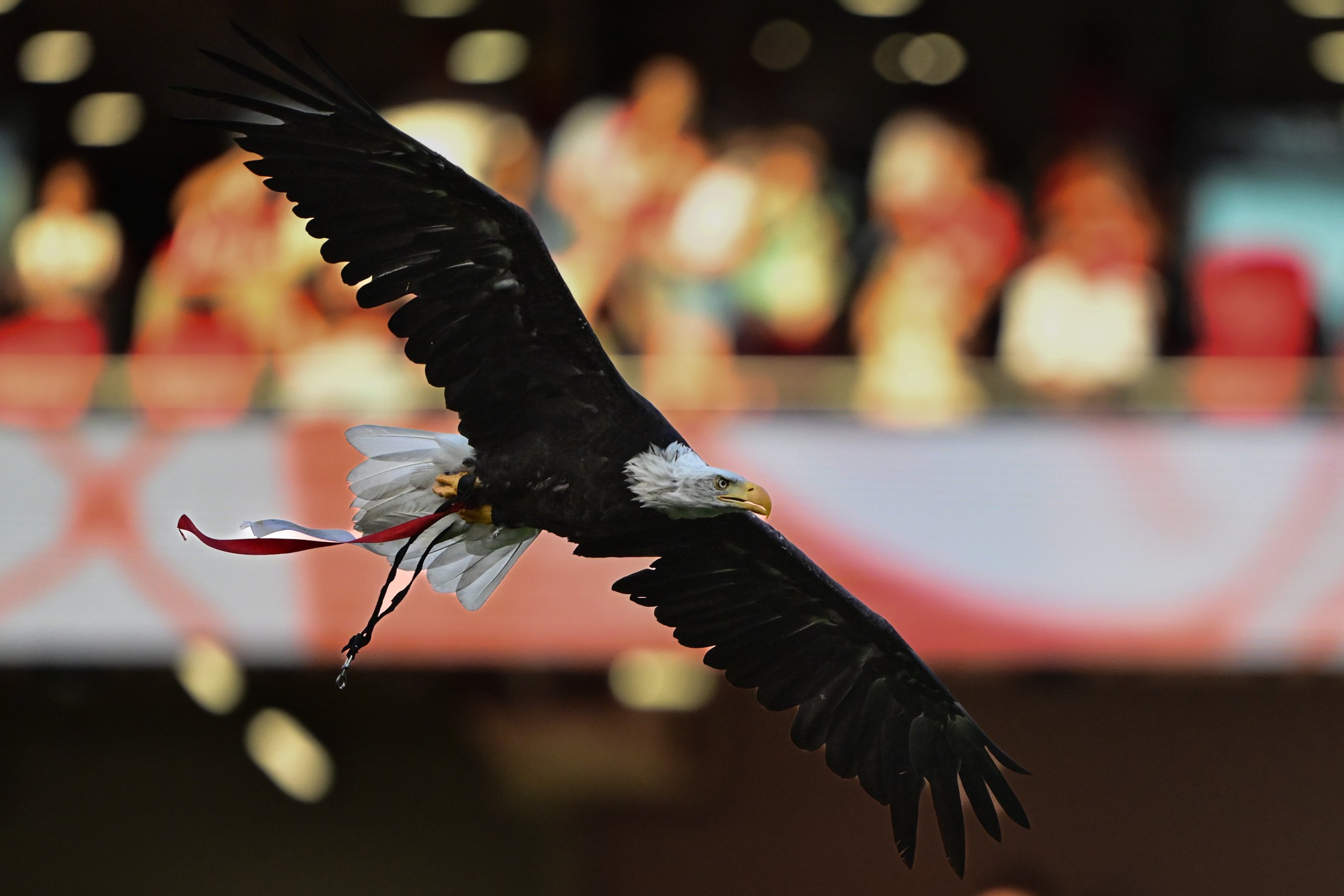 AA 20250726 38673573 38673563 BENFICA FENERBAHCE scaled