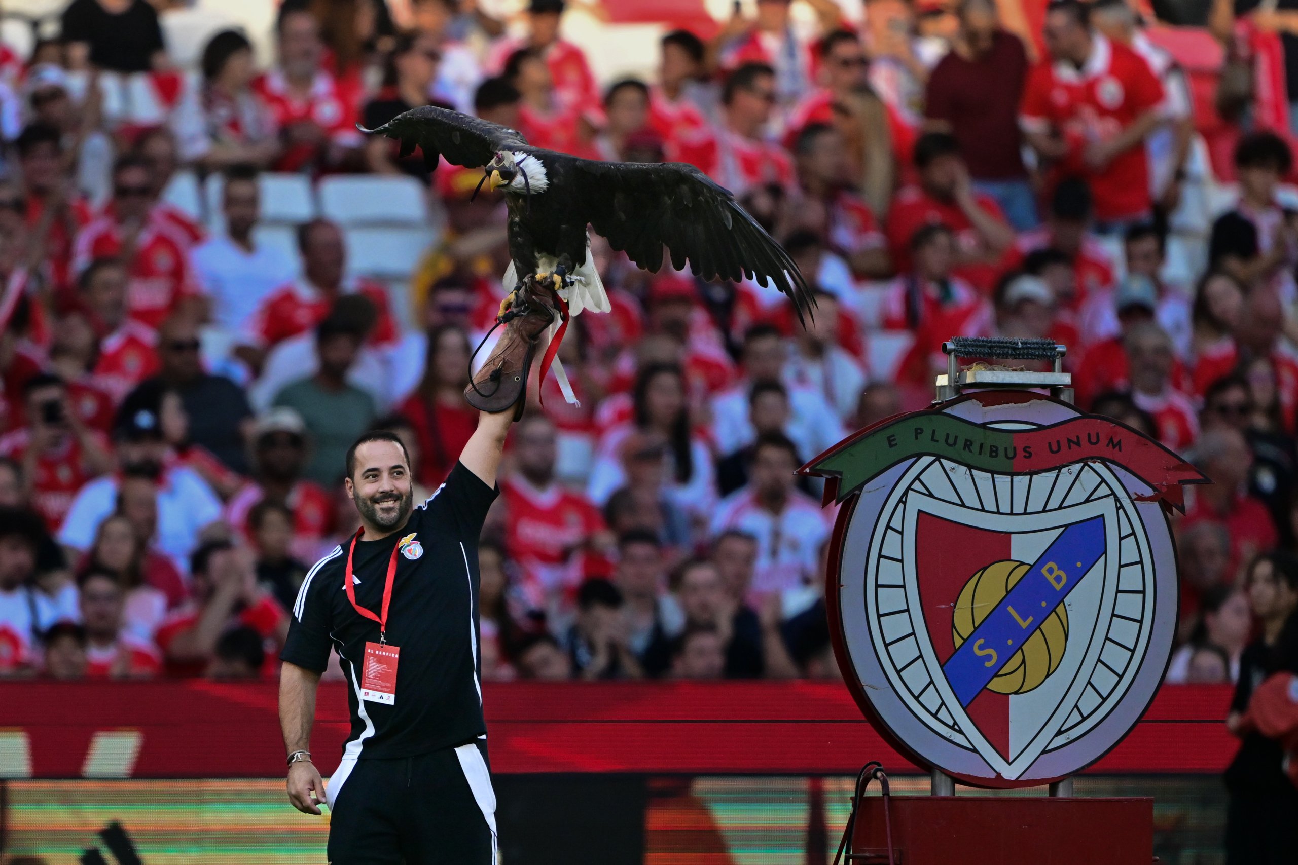 AA 20250726 38673573 38673566 BENFICA FENERBAHCE scaled