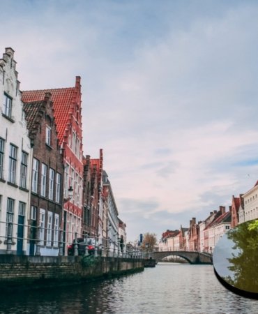 AMSTERDAM-KEDİ-KANALLARI