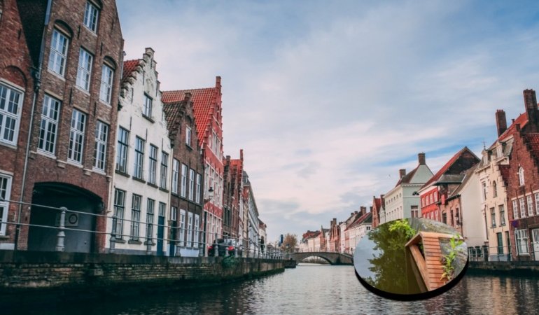 AMSTERDAM-KEDİ-KANALLARI