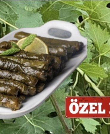 Screenshot_20250719_210641_Photo Editor