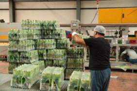 Sıcakların talebi artırdığı Erzincan'ın "ekşi suyu" ABD, Çin ve Hollanda'ya ihraç edilecek