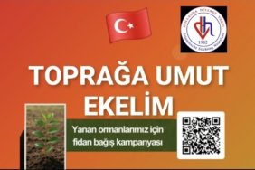 Screenshot_20250801_223702_Photo Editor