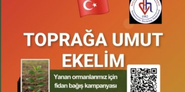 Screenshot_20250801_223702_Photo Editor