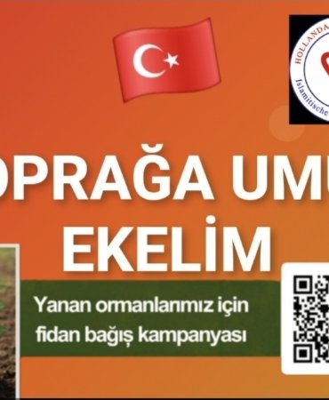 Screenshot_20250801_223702_Photo Editor