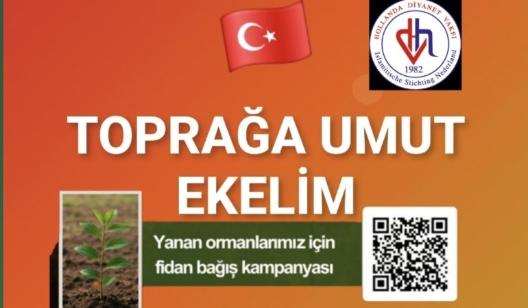 Screenshot_20250801_223702_Photo Editor