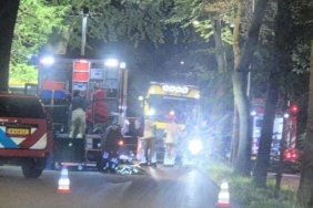 Screenshot_20250808_234213_Gallery