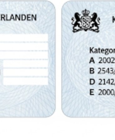 Screenshot_20250821_195835_Google