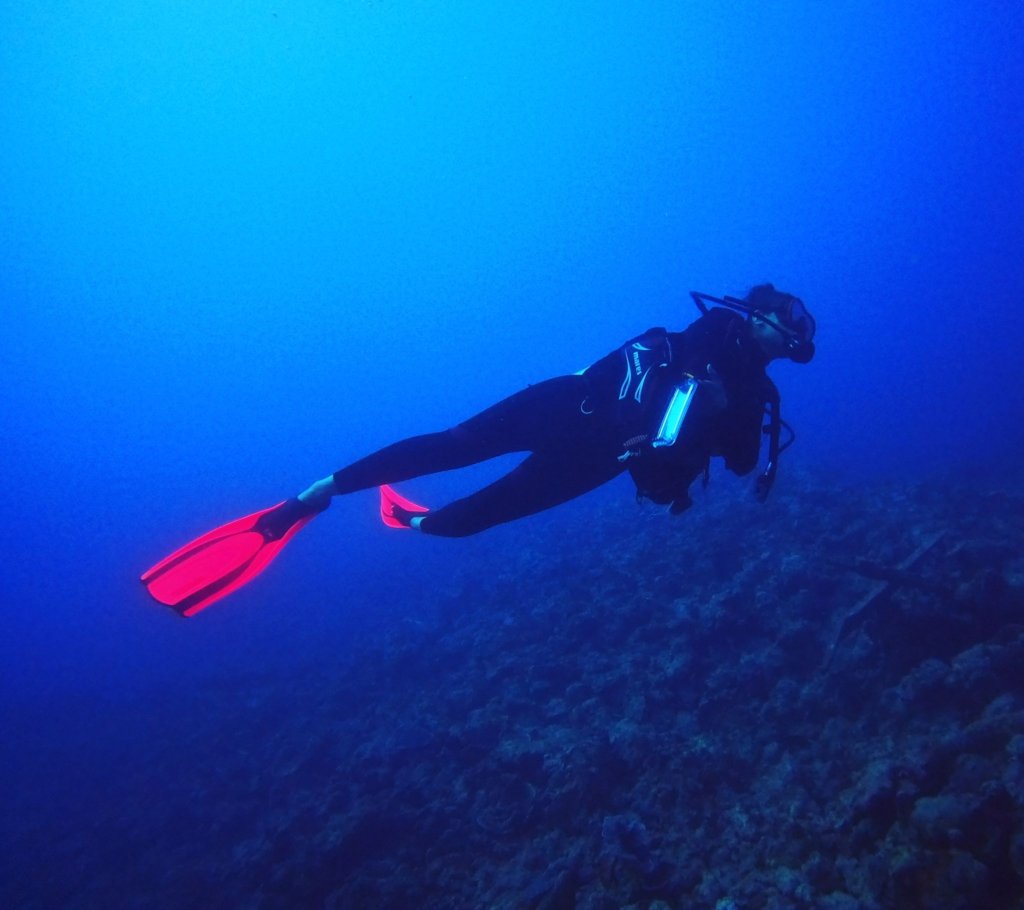 Afbeelding van WhatsApp op 2025 09 12 om 11.27.25 0aaaf489