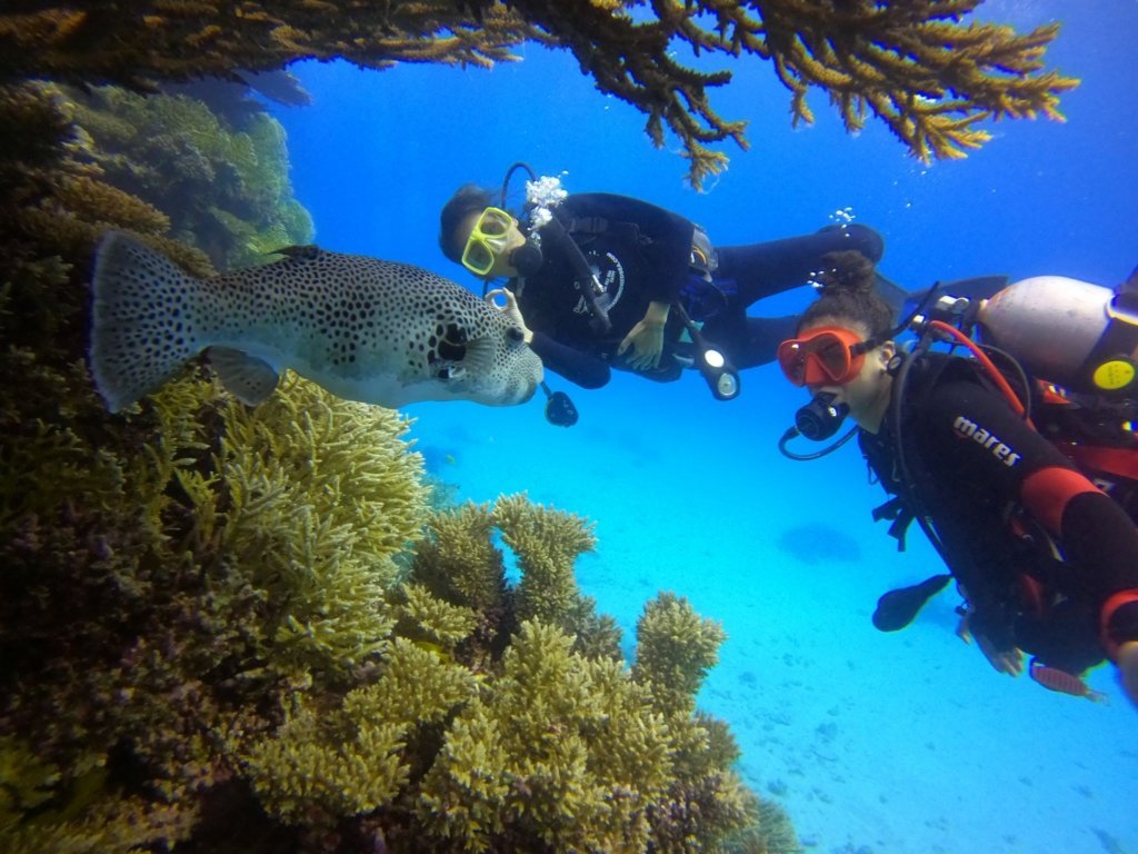 Afbeelding van WhatsApp op 2025 09 12 om 11.27.25 bd72c5bf