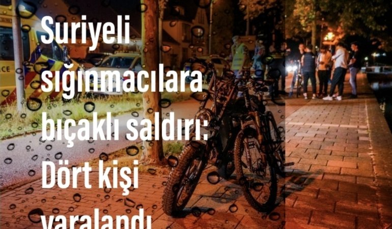 Screenshot_20250902_140038_Photoshop Express