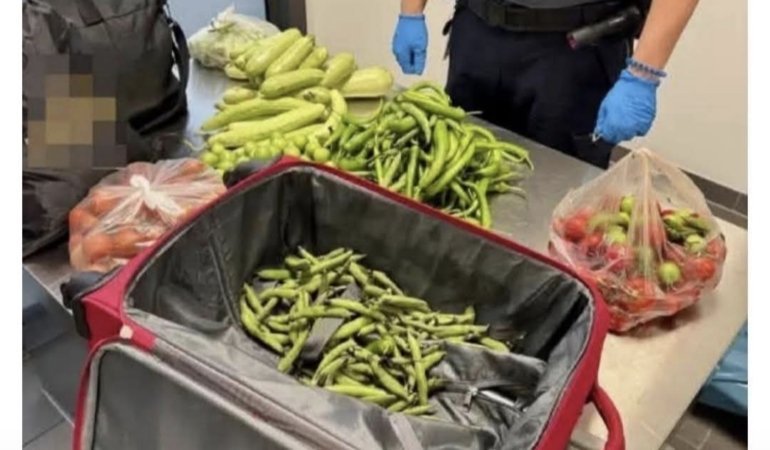 Screenshot_20250907_175450_Facebook