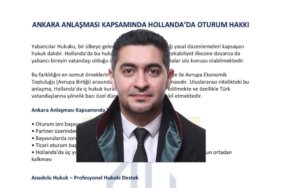 Screenshot_20250924_000150_Photo Editor