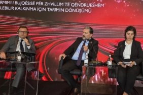 FB_IMG_1760782633702