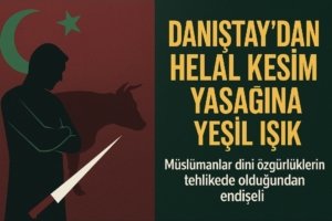 Screenshot 20251020 154423 Copilot