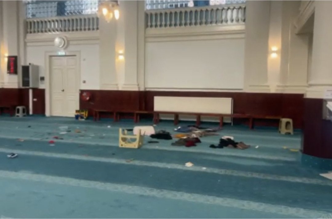 Screenshot 20251022 161549 Gallery