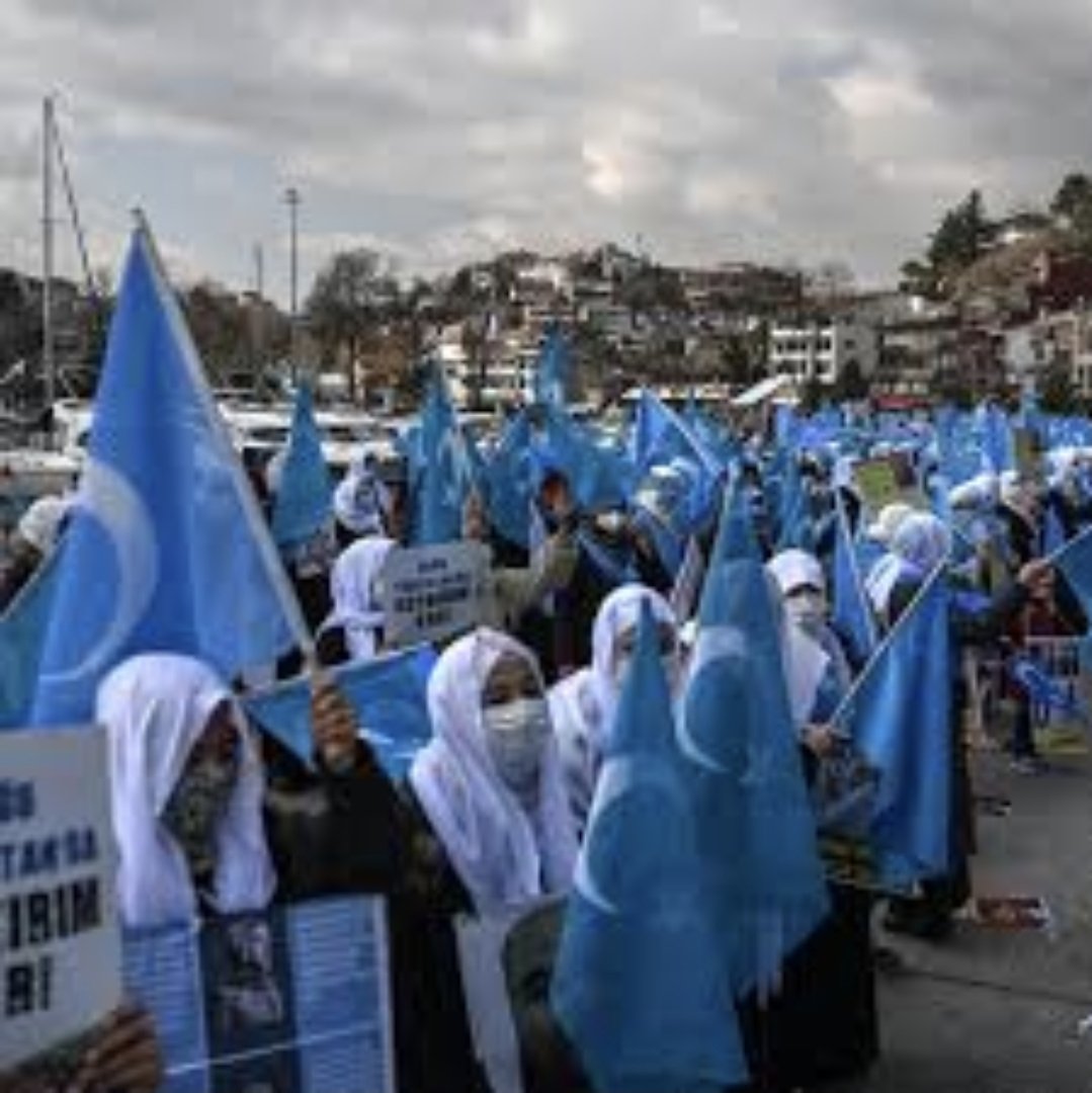 Screenshot 20251111 162152 ChatGPT