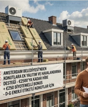 Screenshot_20251123_134330_Google