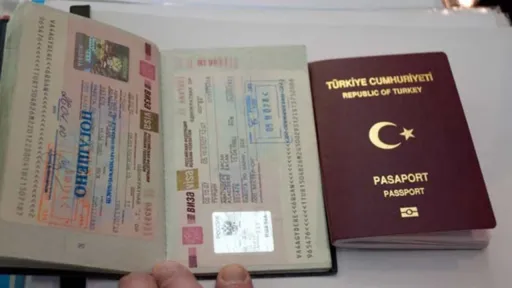 md WPmzK13uf8gTIoyle0DvFMnHMG5g0g5OT4wKnDWu