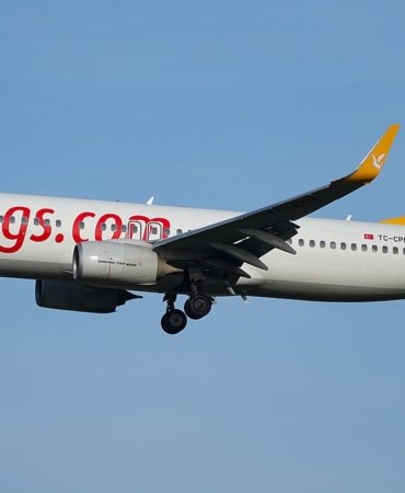 1200px-Berlin_Brandenburg_Airport_Pegasus_Airlines_Boeing_737-82R(WL)_TC-CPE_(DSC06068)