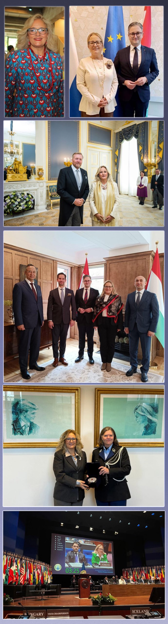 veyis gungor lahef buyukelcisi fatma yazgan scaled