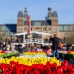 AA-20260117-40284573-40284541-HOLLANDADA_ULUSAL_LALE_GUNU_ETKINLIGI_YAPILDI