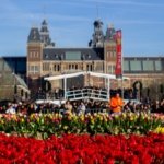 AA-20260117-40284573-40284545-HOLLANDADA_ULUSAL_LALE_GUNU_ETKINLIGI_YAPILDI