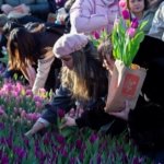 AA-20260117-40284573-40284558-HOLLANDADA_ULUSAL_LALE_GUNU_ETKINLIGI_YAPILDI