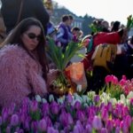 AA-20260117-40284573-40284560-HOLLANDADA_ULUSAL_LALE_GUNU_ETKINLIGI_YAPILDI