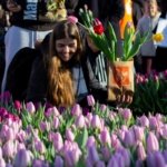 AA-20260117-40284573-40284561-HOLLANDADA_ULUSAL_LALE_GUNU_ETKINLIGI_YAPILDI