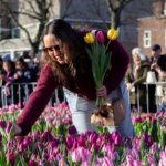 AA-20260117-40284573-40284563-HOLLANDADA_ULUSAL_LALE_GUNU_ETKINLIGI_YAPILDI