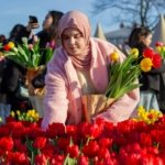 AA-20260117-40284573-40284565-HOLLANDADA_ULUSAL_LALE_GUNU_ETKINLIGI_YAPILDI