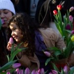 AA-20260117-40284573-40284572-HOLLANDADA_ULUSAL_LALE_GUNU_ETKINLIGI_YAPILDI