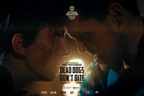 ROTTERDAM-POST-1536x683