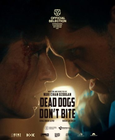 ROTTERDAM-POST-1536x683