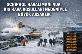 Screenshot_20260104_195238_ChatGPT