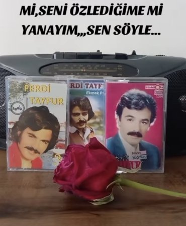 Screenshot_20260124_011727_TikTok