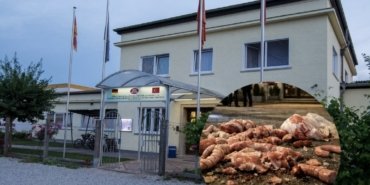 Screenshot_20260126_192833_Photo Editor