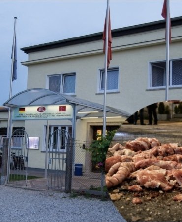 Screenshot_20260126_192833_Photo Editor