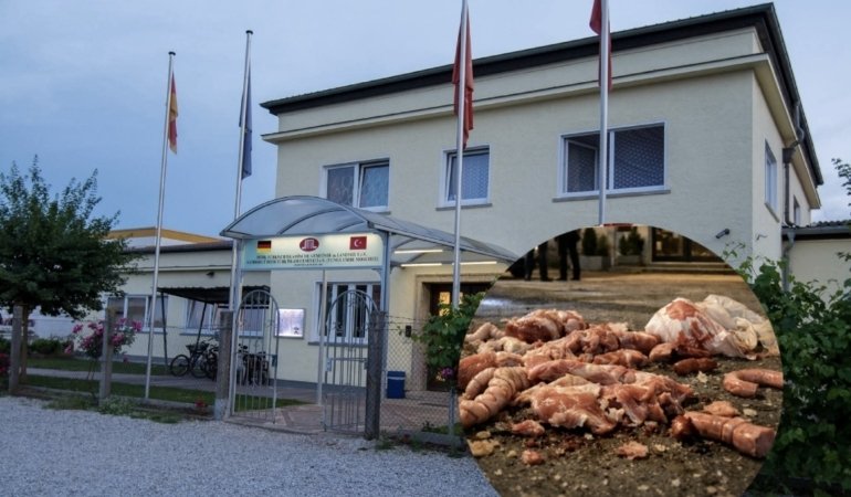 Screenshot_20260126_192833_Photo Editor