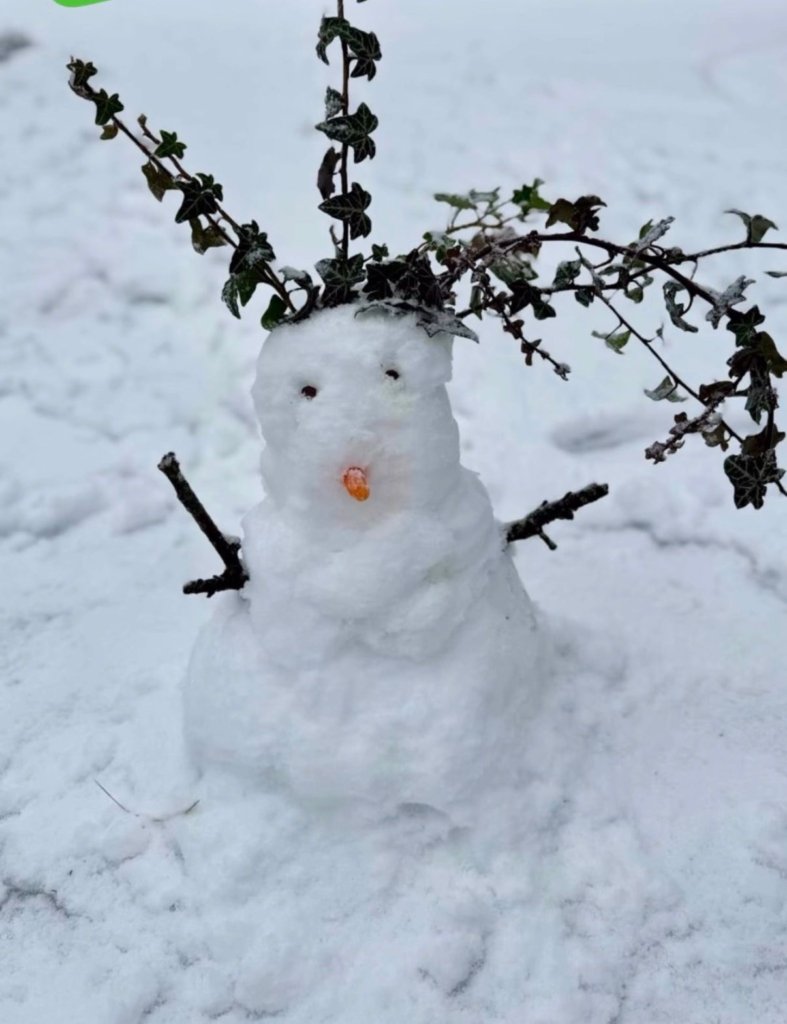 WhatsApp Image 2026 01 13 at 12.05.14 1