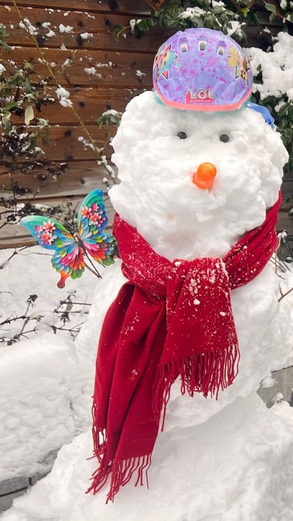 WhatsApp Image 2026 01 13 at 12.05.14 2