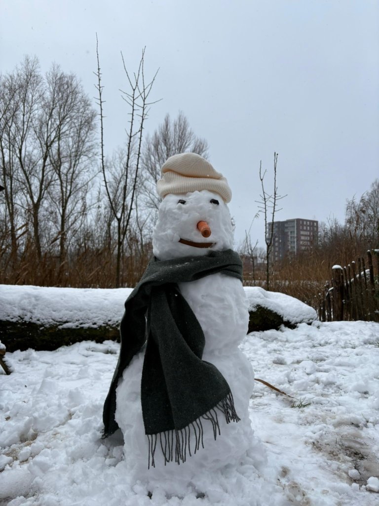 WhatsApp Image 2026 01 13 at 12.05.15 3