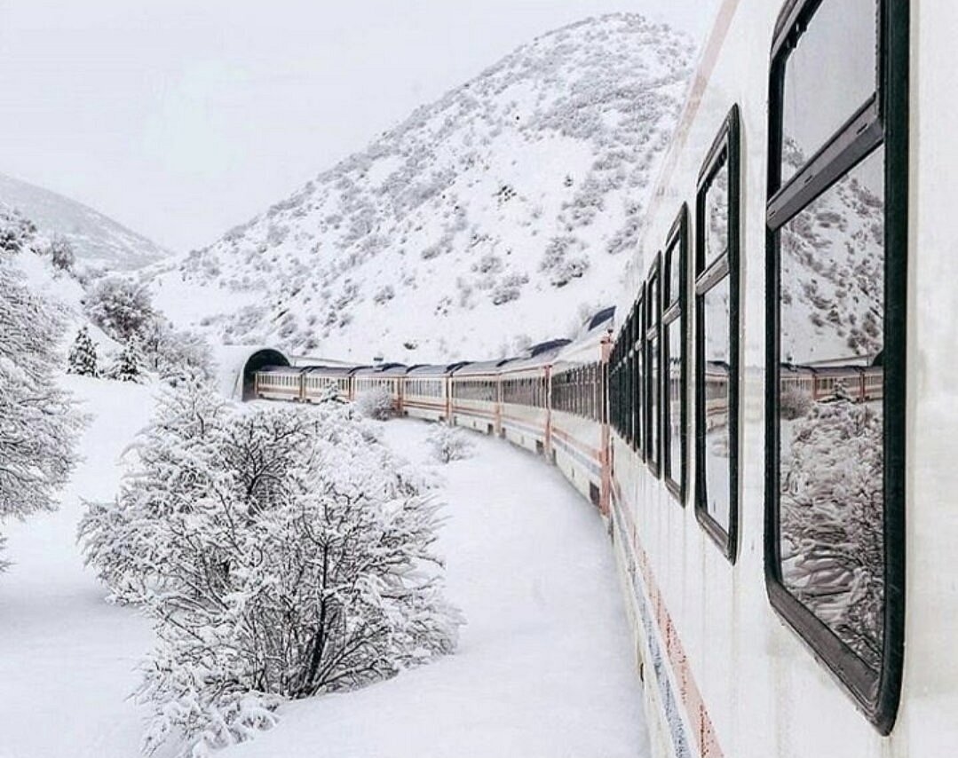 Hollanda Serhat Vakfı’ndan Turistik Doğu Ekspresi ile Kültür Yolculuğu 1 Screenshot 20260215 142907 ChatGPT