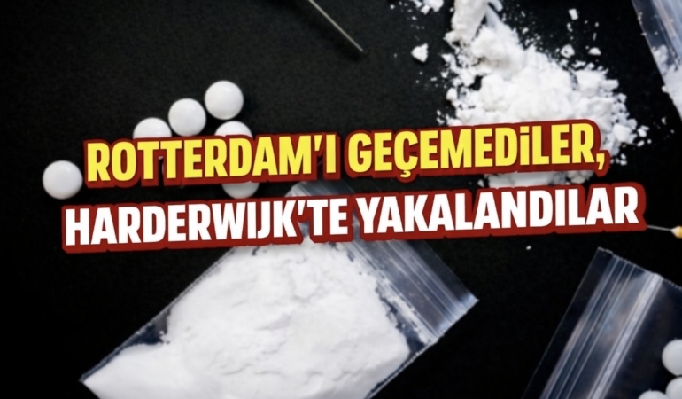 Screenshot_20260217_164654_ChatGPT