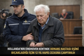 Screenshot_20260218_010310_ChatGPT