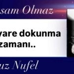 WhatsApp Image 2026-02-13 at 15.31.18