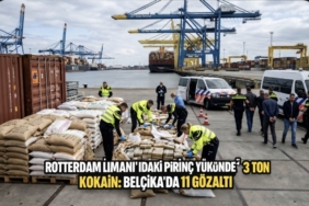 Screenshot_20260309_005646_Copilot