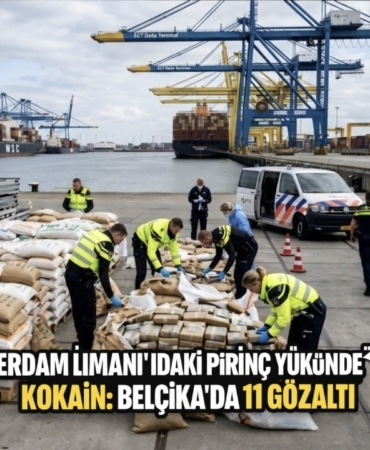 Screenshot_20260309_005646_Copilot