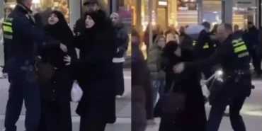 Screenshot_20260319_010507_Photos